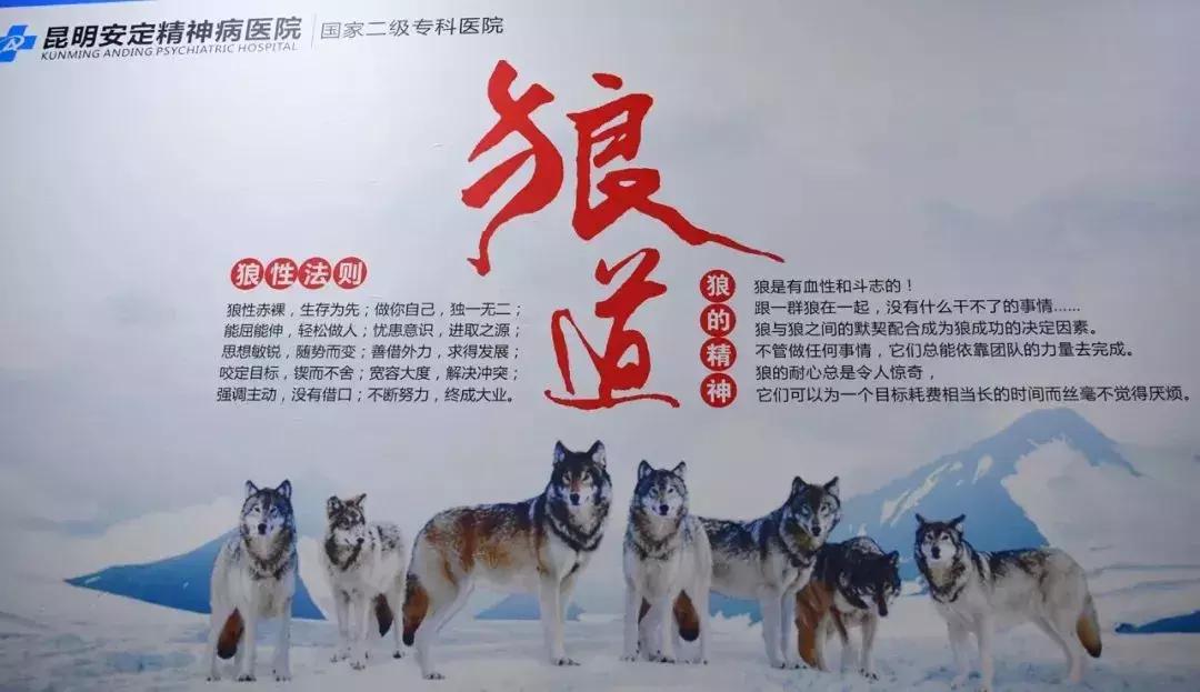 深圳被查医院,深圳医院被查事件