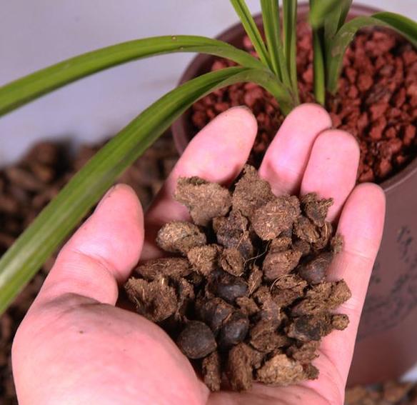 施肥过多了怎么补救,施肥过多的补救措施是