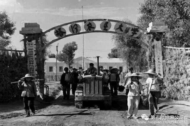 建设兵团1974年老照片,生产建设兵团老照片