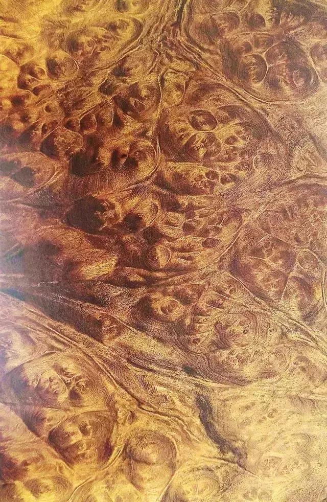 最美木皮,轻奢极简天然木皮