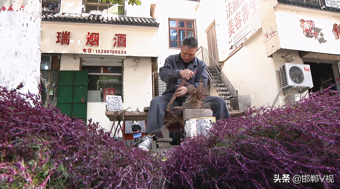 老式扫帚手工,老手艺扎扫帚