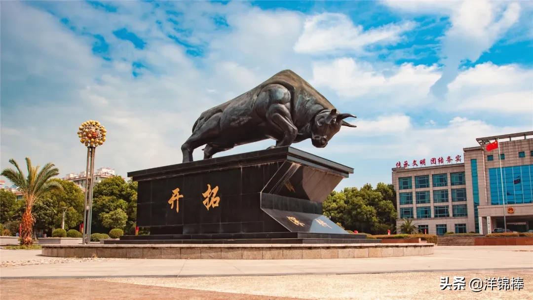 定了！2021年，嘉善各镇（街道）要干这些实事