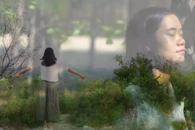 她31岁放弃北漂高薪，回归森林“捡垃圾”，用树叶打造出人间仙境