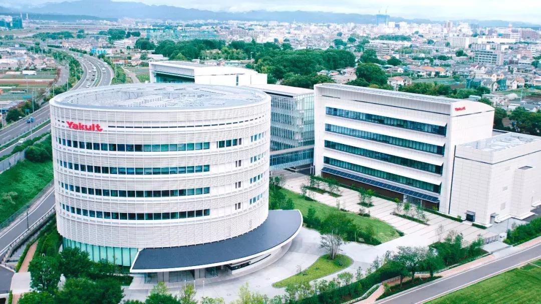 养乐多的质感好到怀疑人生,带你13秒了解养乐多