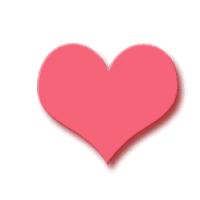 鲲鹏展翅自兹始，鹰击长空助梦飞——奋进中的漯河二中