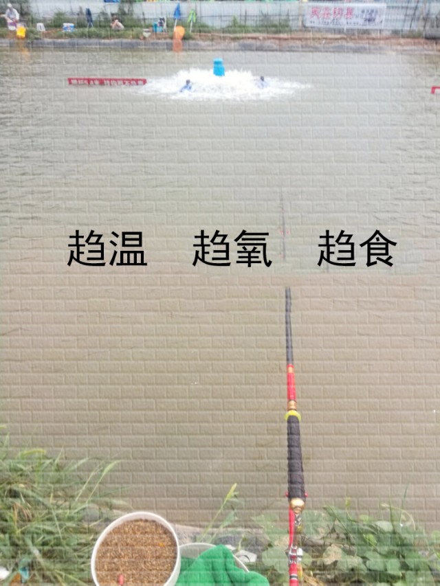 抓住鱼技巧,抓住鱼什么部位鱼不挣扎