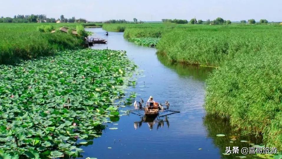 保定阜平周边自驾游免费景点,保定周边网红自驾游景点大全