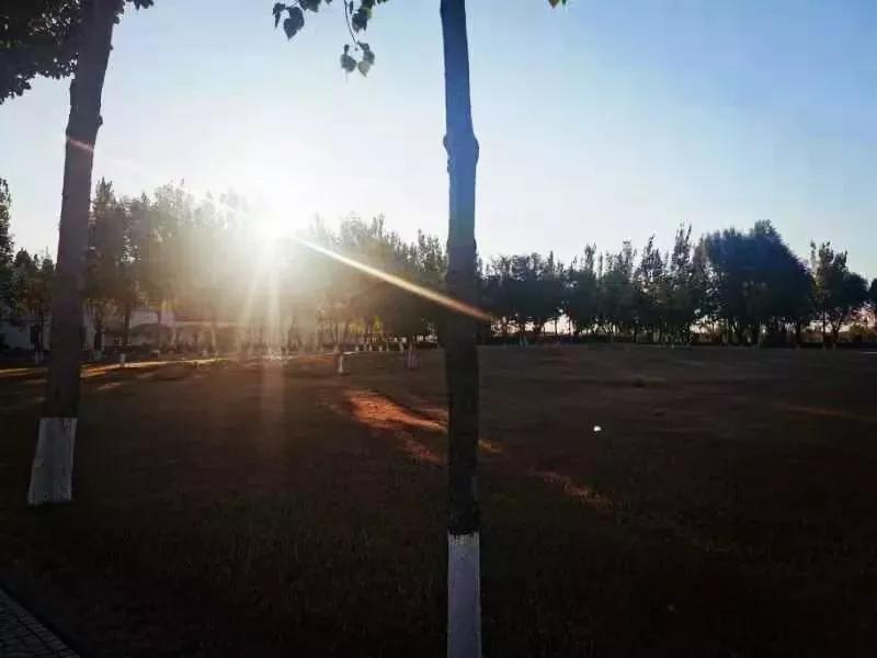 天津市独立院校（四）天津财经大学珠江学院