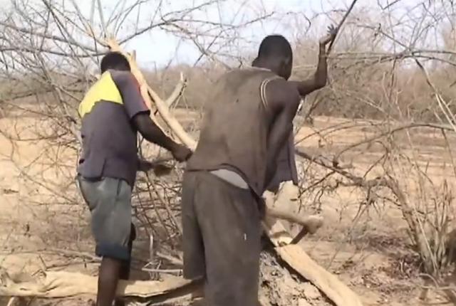 黑人跨入铁器时代的关键！揭秘两千年前的黑人冶铁术，包教不包会