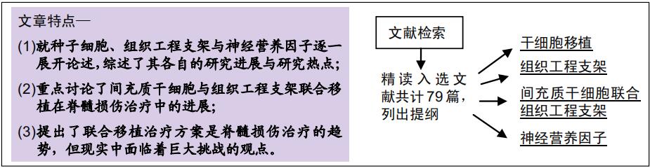 干细胞移植治疗脊髓损伤的新进展,干细胞脊髓修复
