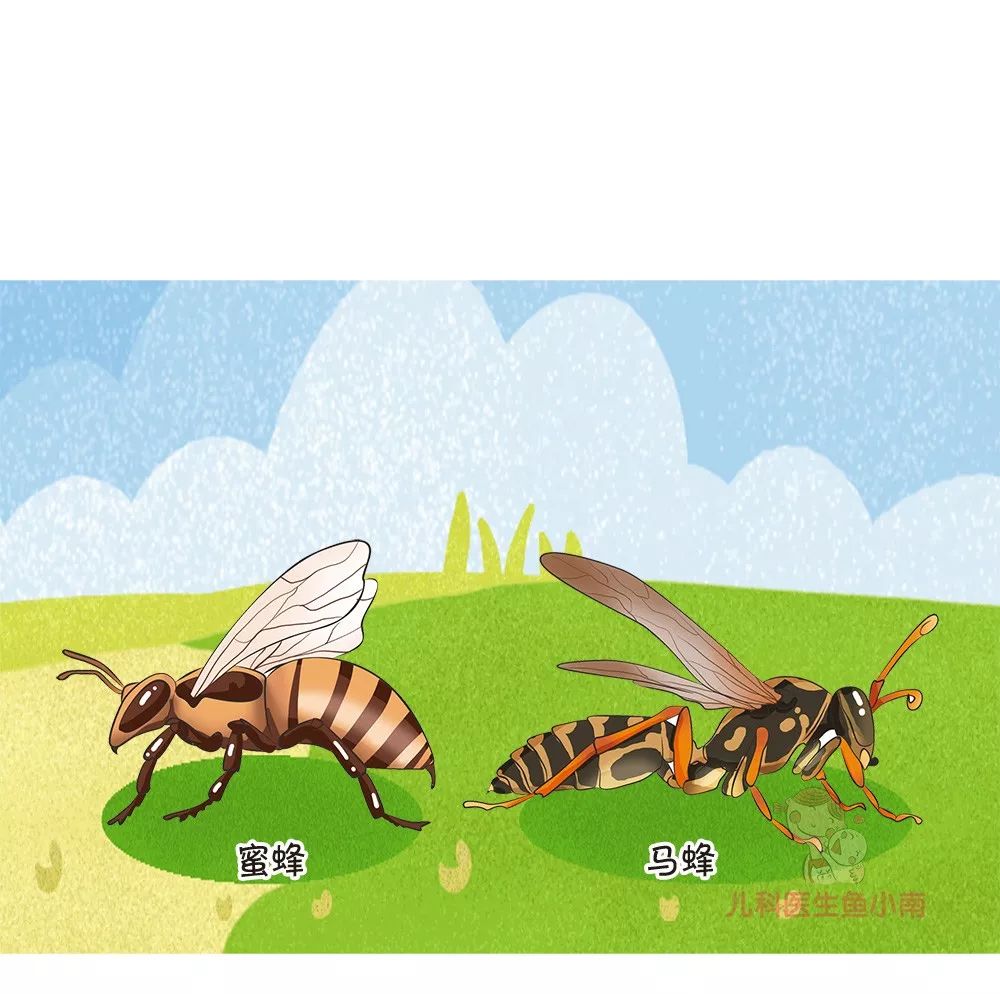 被蜂蜇了有什么自救的方法,被蜂蜇伤该怎么处理