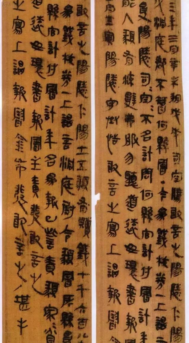 里耶秦简完整视频,里耶秦简