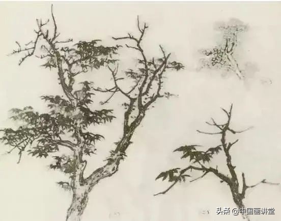 缠枝、挺杆、屈节、钮裂、一棵树如何画?看了这篇你绝对能学会