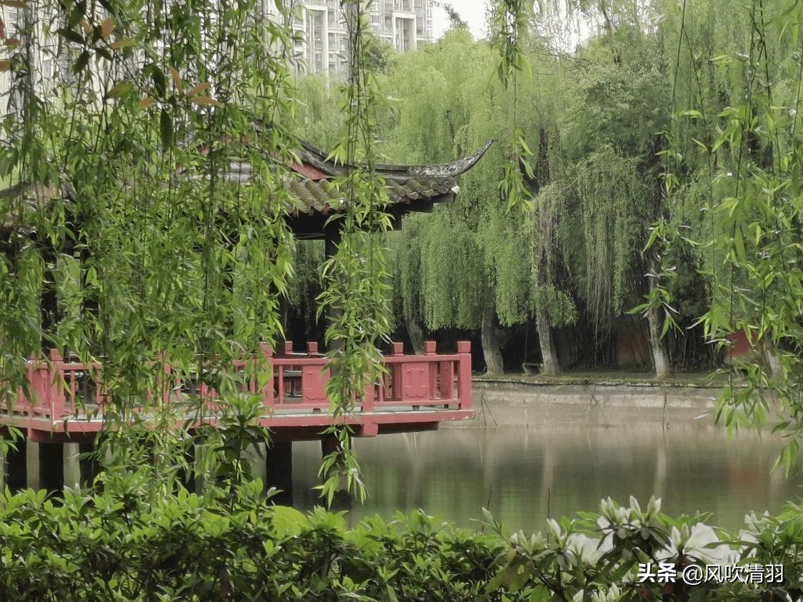 成都温江风景好的地方有哪些,郫都和温江龙泉驿哪个更好