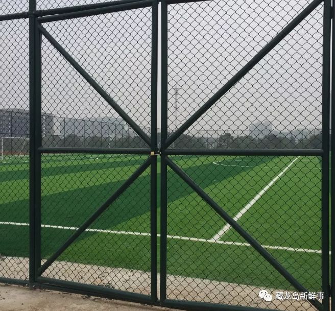 武汉江夏藏龙岛最新消息,藏龙岛管委会体育公园足球场