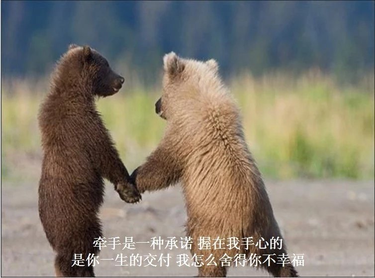 我只想说声爱你,只想再爱你一次