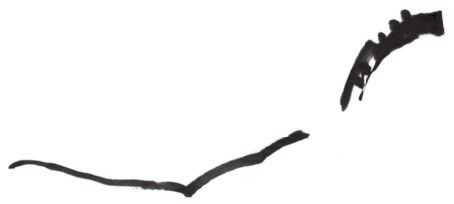 梅花入门画法教程,梅花的十种画法讲解