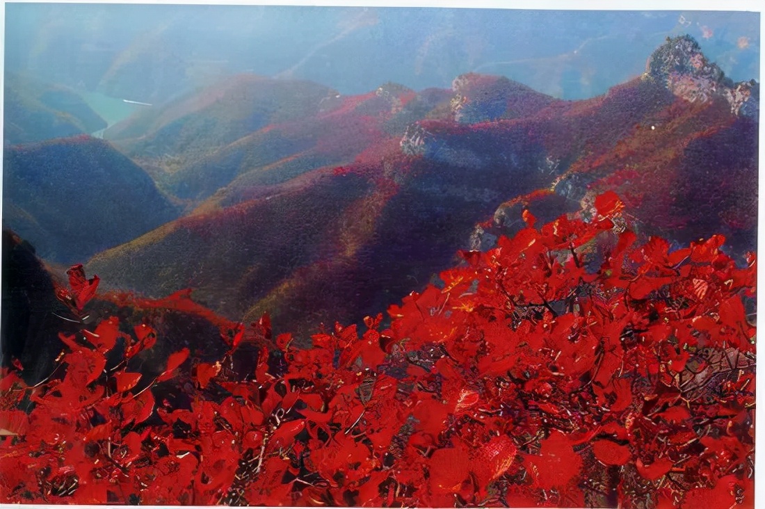 河南首推的9个王牌山水景观，这9个景点你都去了吗？