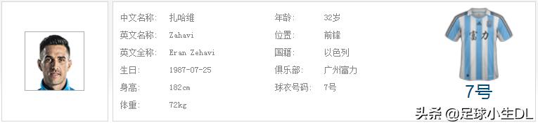 中超申花队魂合集,中超足球绝杀扳平富力