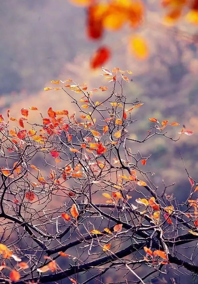 北京周边美丽的地方,初秋北京周边适合去的景点推荐