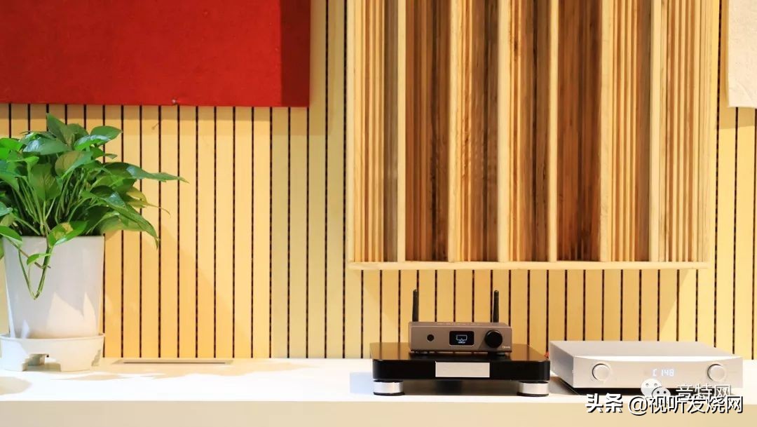 蓝牙接收器？网播？数播？解码（DAC）？前级？ADC？它都是