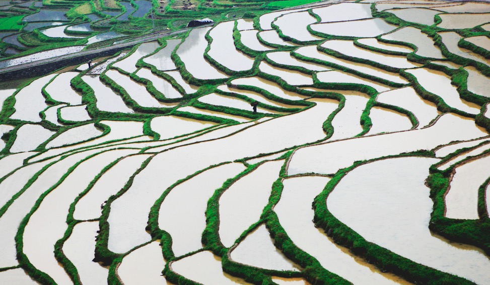 范成大诗十首经典诗词,范成大十首著名诗词