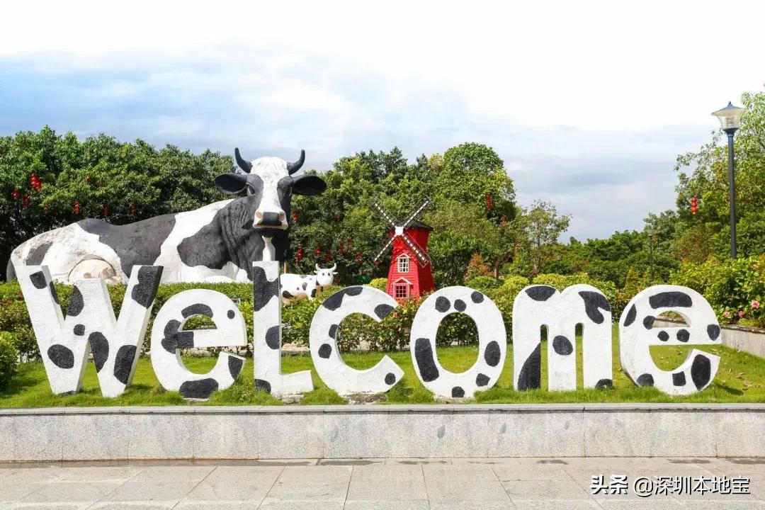 端午节最值得去的地方深圳,端午去哪玩送您一份深圳游玩攻略