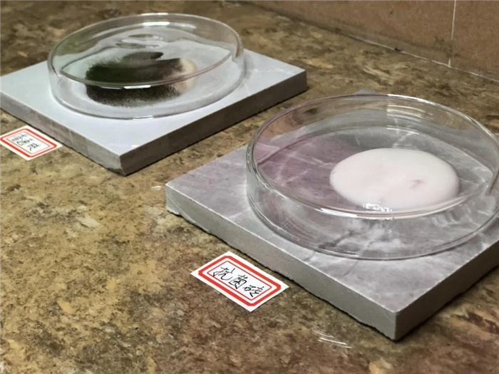 汇亚抗菌瓷砖价格,选择健康板材