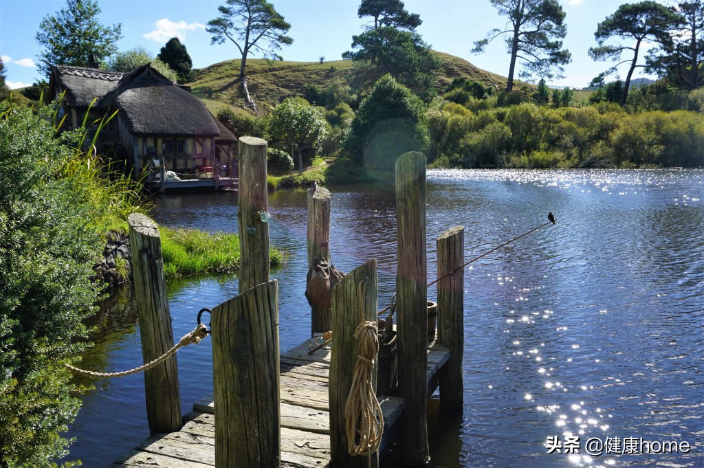 新西兰霍比特人村攻略,新西兰霍比特蓝泉一日游