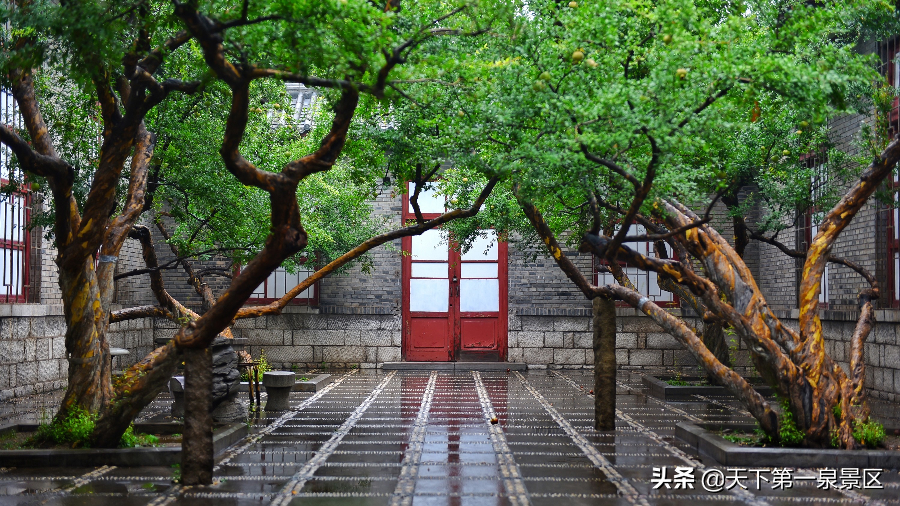 五龙潭的传说视频,有关五龙潭的美丽传说