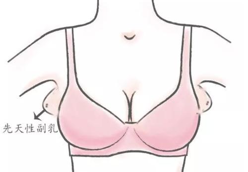 虞书欣采访说收副乳,虞书欣说遮副乳