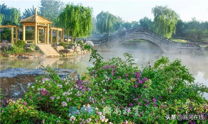 济南商河哪几个镇发展好,济南商河最穷的镇