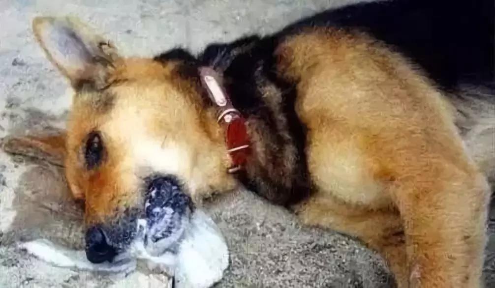 零容忍严查,严厉打击环境食品药品犯罪