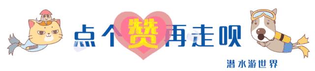 踏莎行诗歌朗诵,踏莎行望夏全文