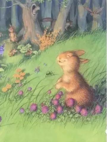 培养3至4岁幼儿逻辑思维的绘本,读绘本引导孩子的思维