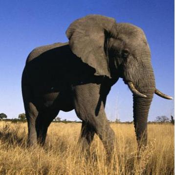 有图有真相有依据,有图有真相眼见为实