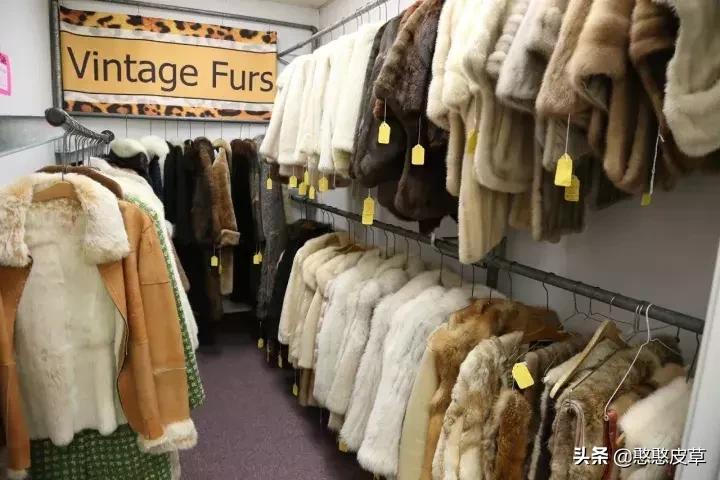憨憨皮草-----真假皮草之争，你身陷其中吗？