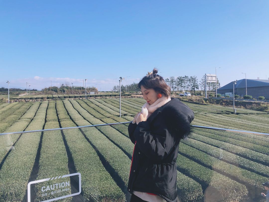 西安直飞1h,西安出发三日游冬季高铁