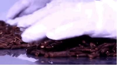 清肝火排肝毒拿什么泡水喝,清肝火排肝毒吃什么中药煮水