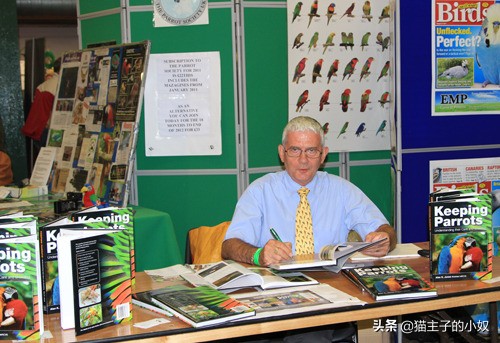 鹦鹉被主人剪断整个翅膀,鹦鹉被主人拔羽管