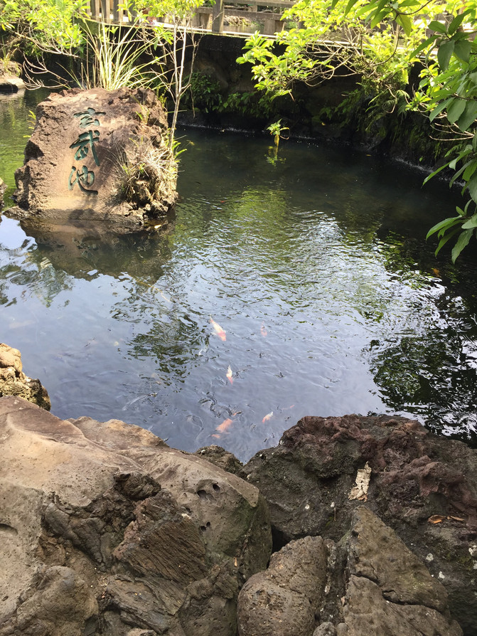 在这个阳光明媚的春季,在这个阳光灿烂的日子里