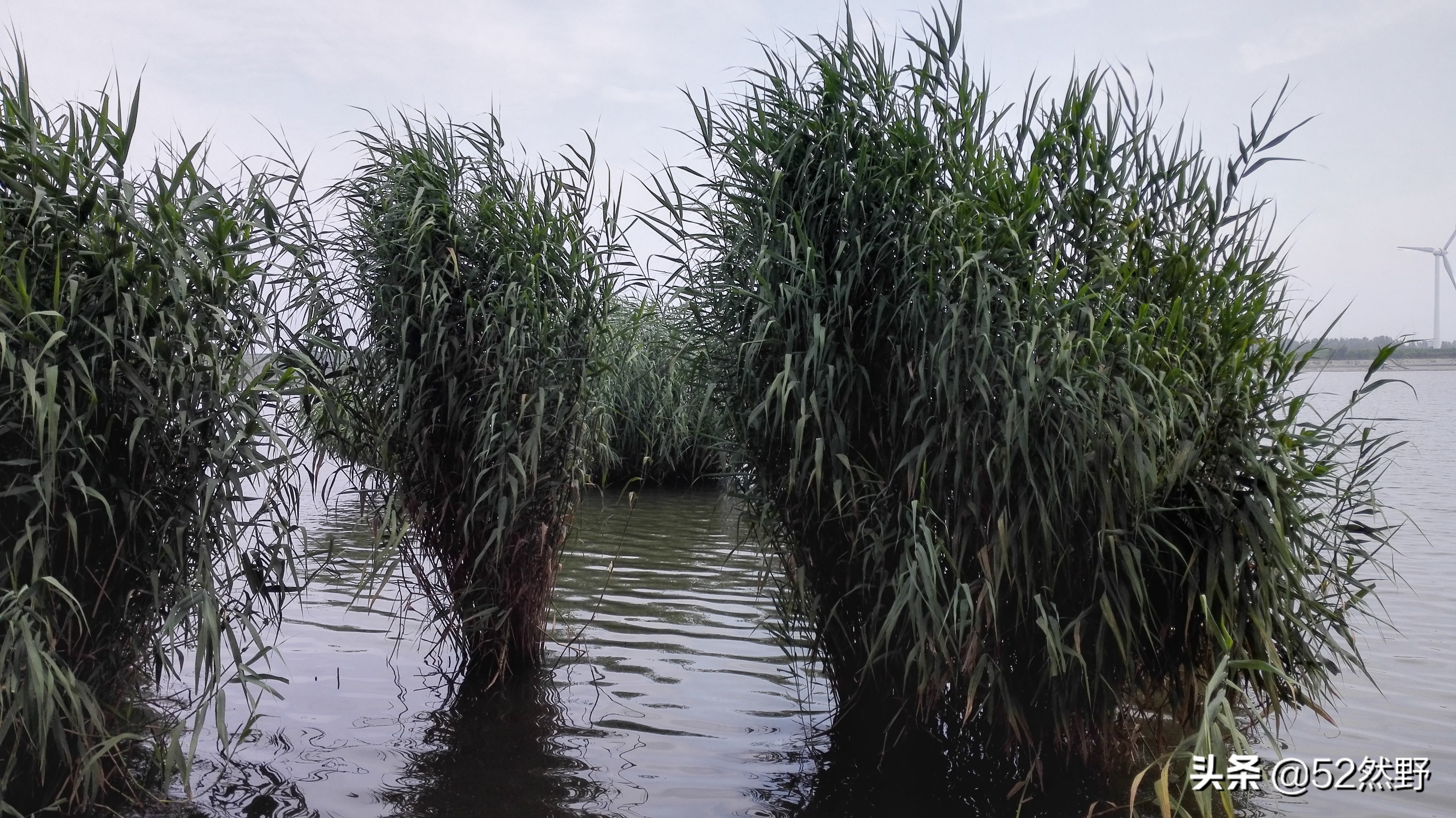 永定河北京的母亲河桑干河,桑干河与滹沱河