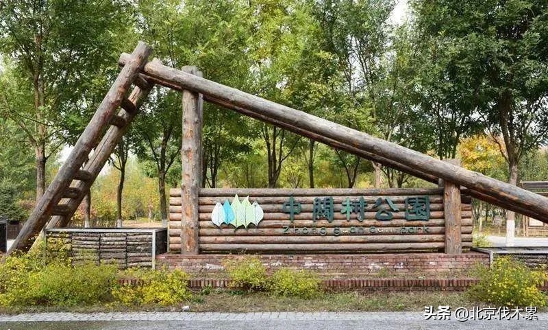 带宠物遛娃好去处,遛娃遛狗一起来