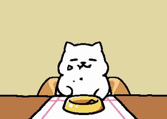 食用油开封后能吃多久,食用油在开封后最好几个月内吃完