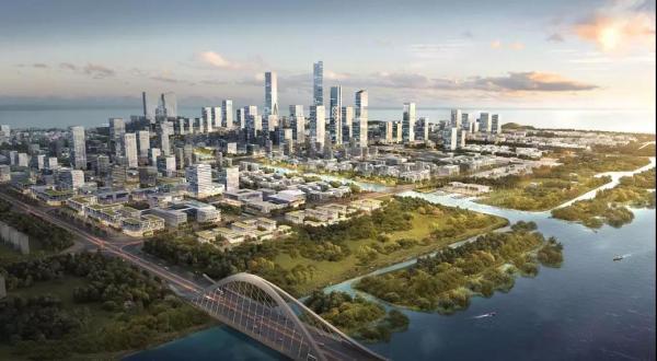 博拓咨询年终盘点|感恩不落幕,迎势再起航