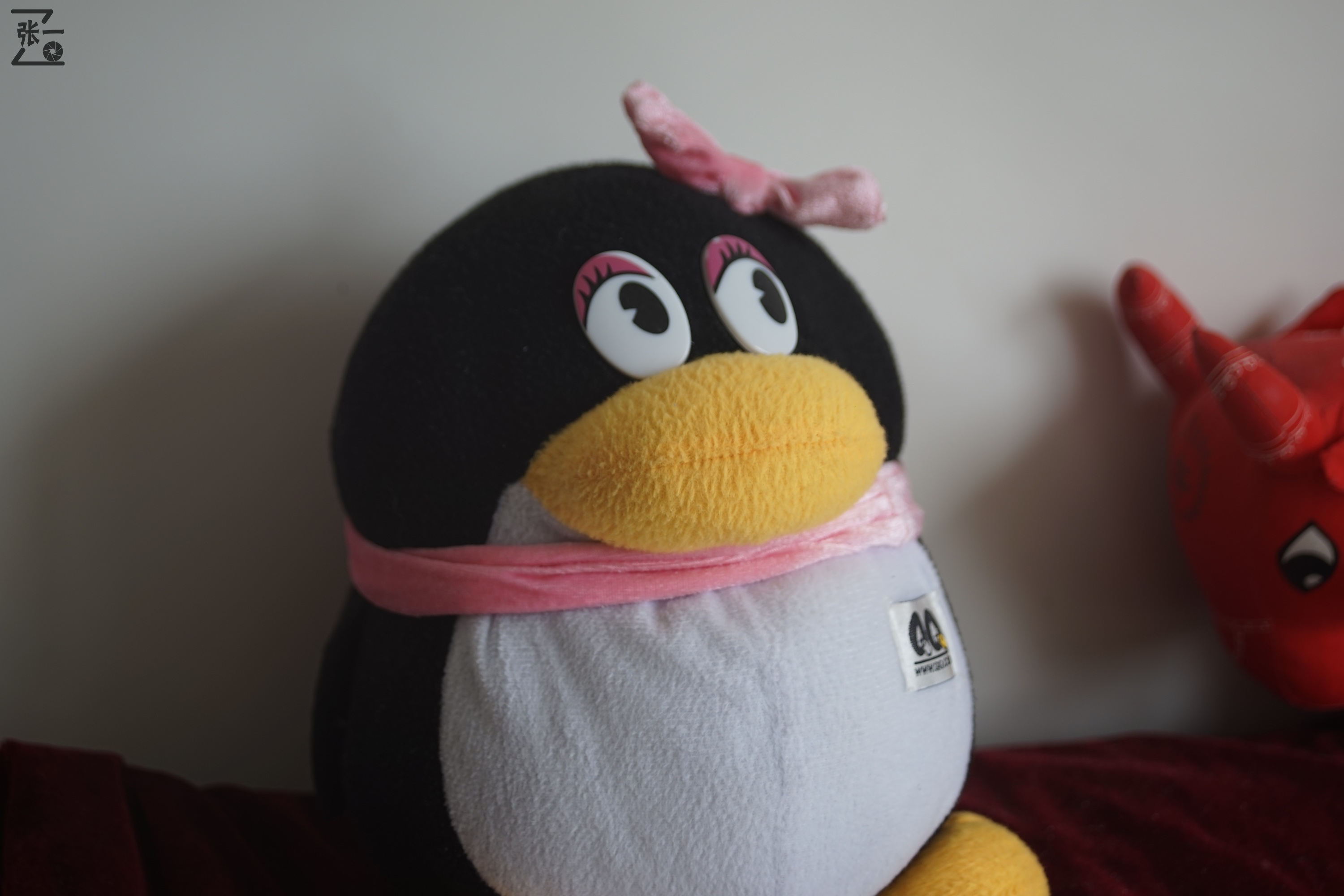 海鸥df300镜头与哪款数码相机通用,海鸥相机df300x怎么样