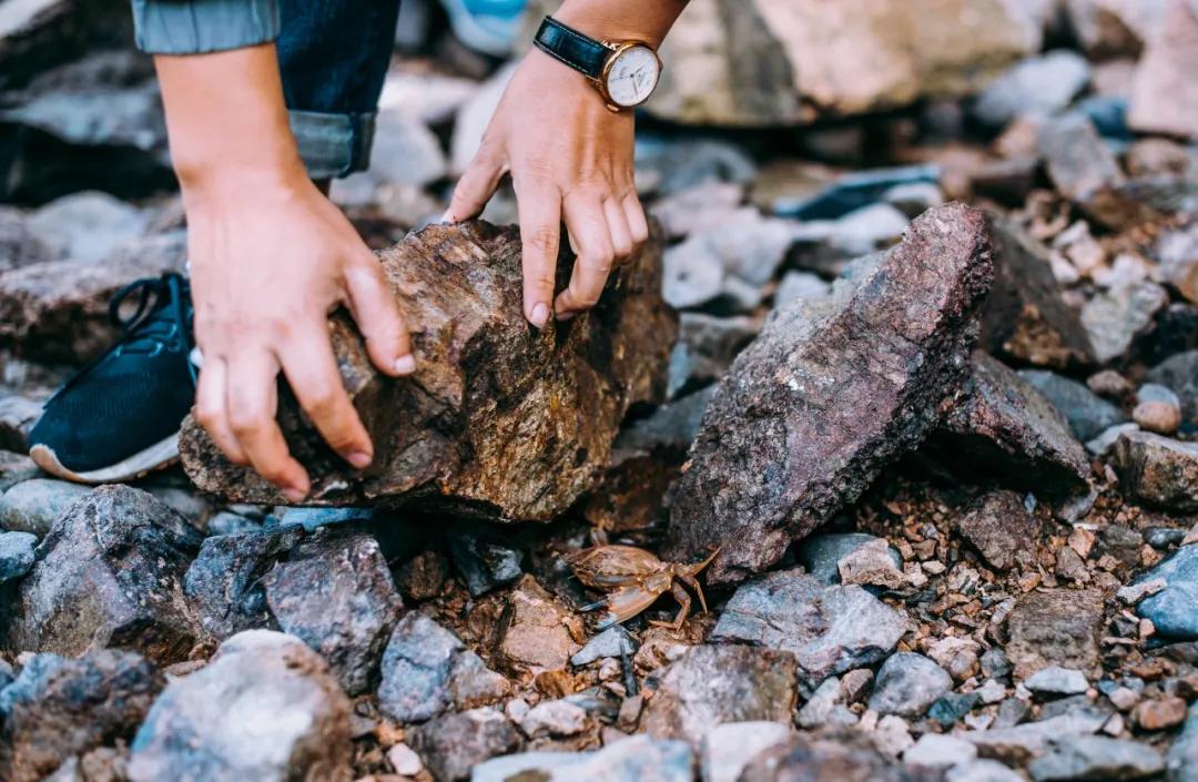 晨昏暮色正苏醒，这是我爱的舟山