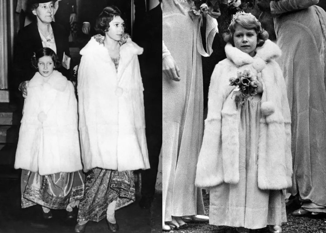 为什么皮草越来越少了,便宜的皮草和贵的皮草区别在哪里