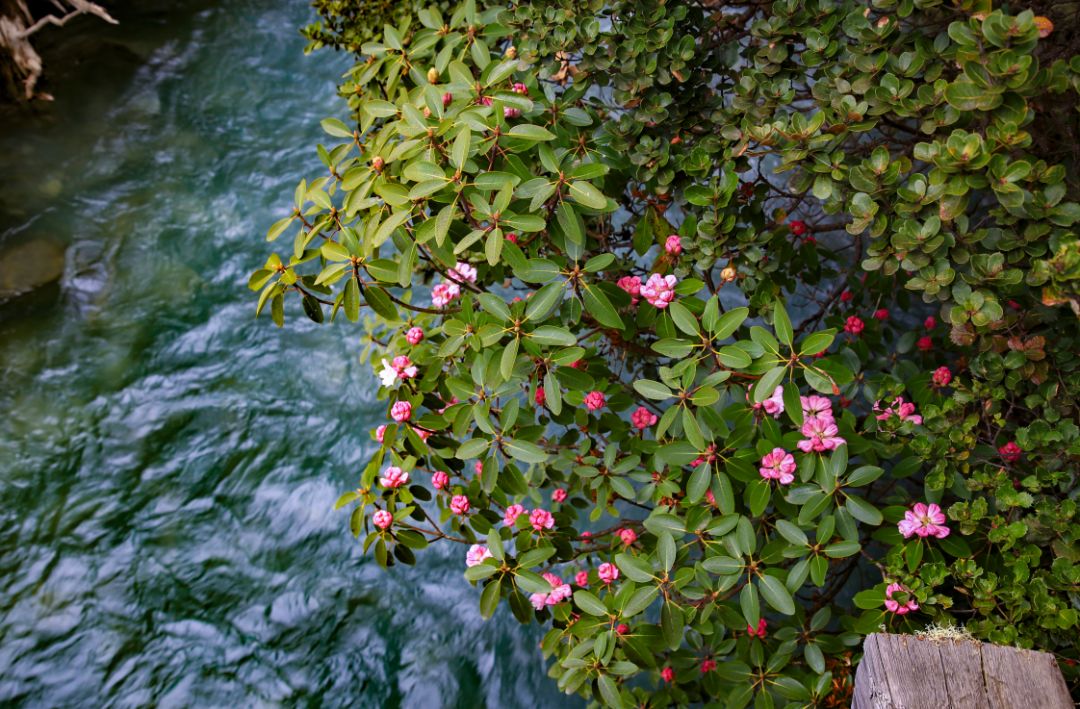 一座比珠穆朗玛峰还难登的雪山,有一座山比珠穆朗玛峰还要高
