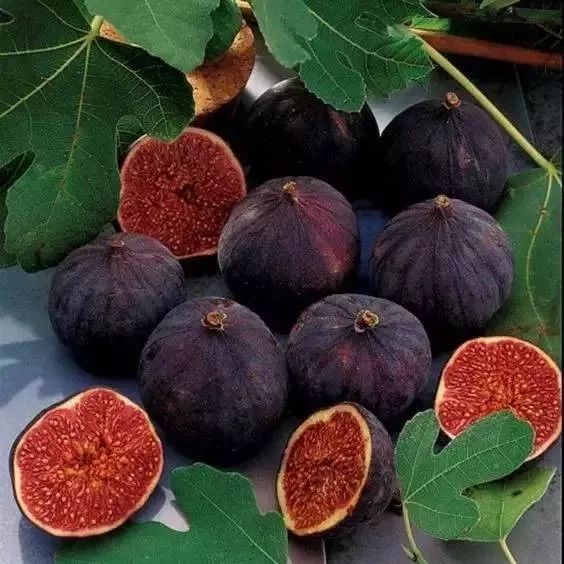 *疆新**的水果儿~~（二）